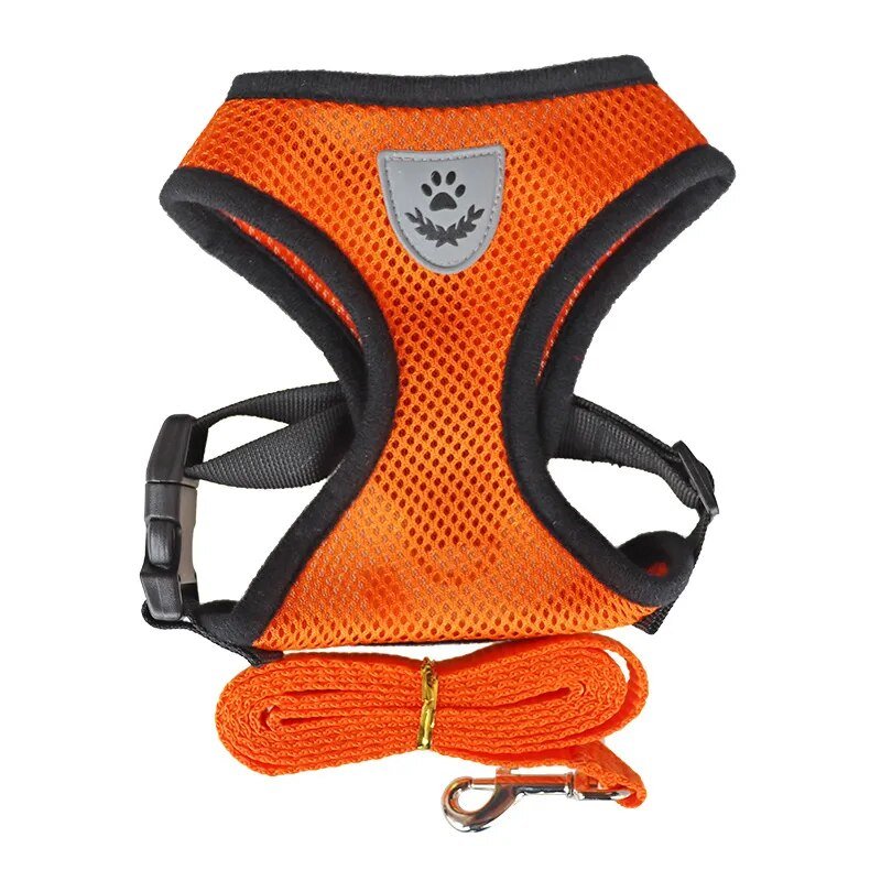 #Custom_Dog_Harness# - #Oyulas_Paw#