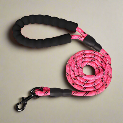 Heavy Duty Nylon Training Leash