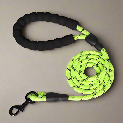 Heavy Duty Nylon Training Leash