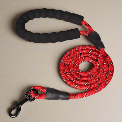 Heavy Duty Nylon Training Leash