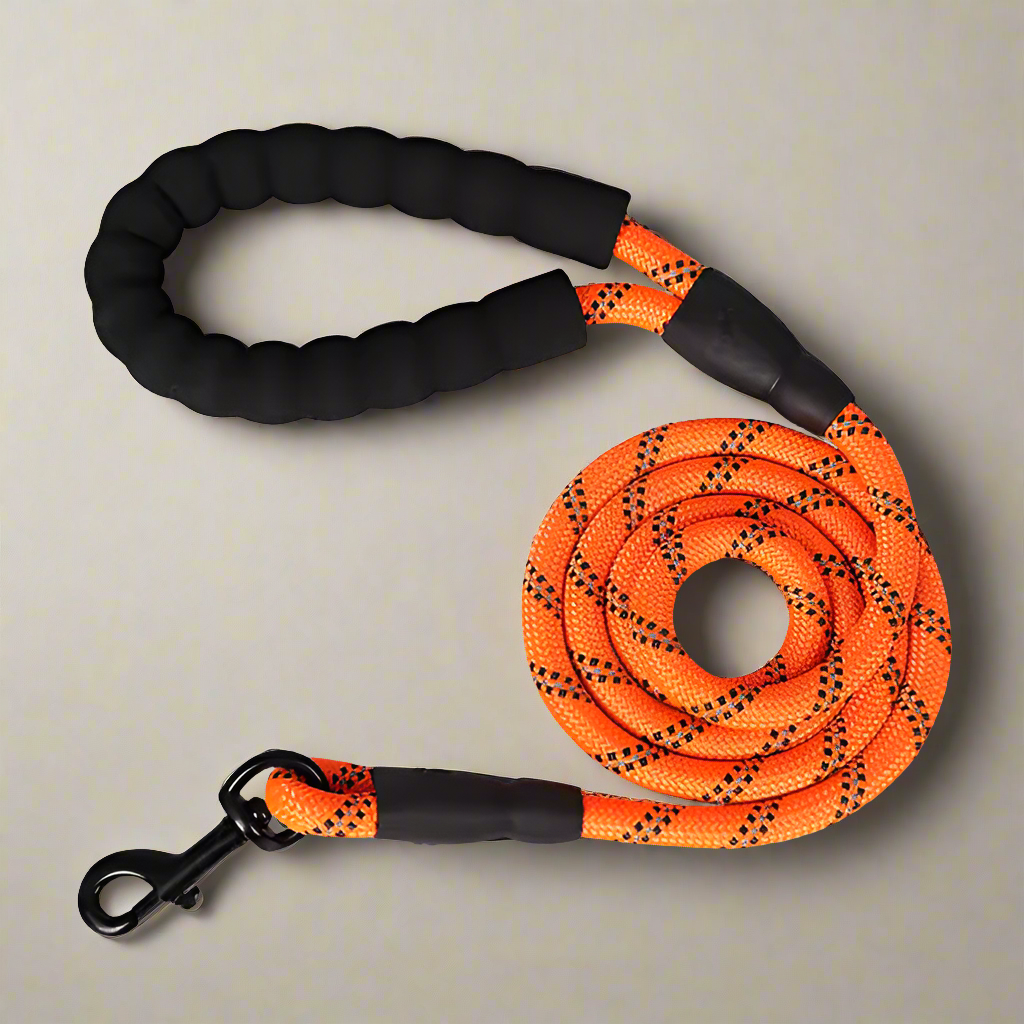 Heavy Duty Nylon Training Leash