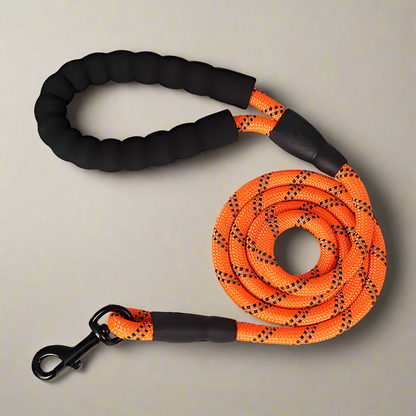 Heavy Duty Nylon Training Leash