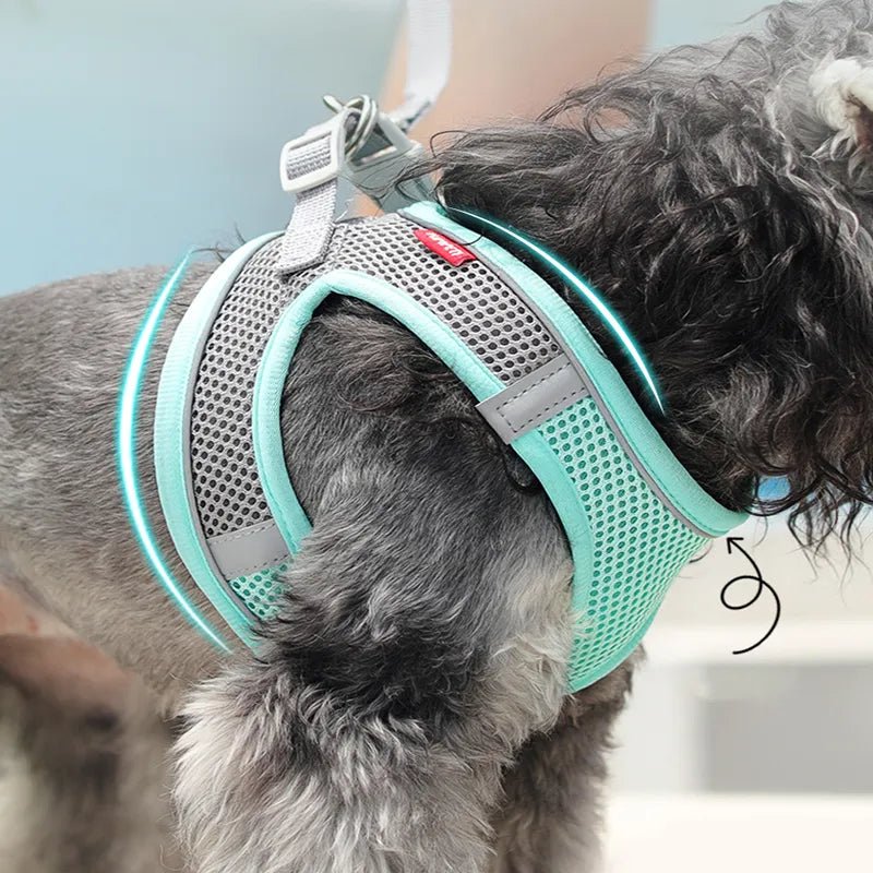 #Custom_Dog_Harness# - #Oyulas_Paw#