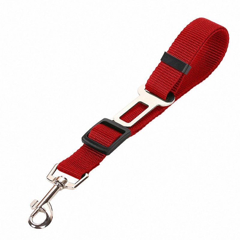 #Custom_Dog_Harness# - #Oyulas_Paw#